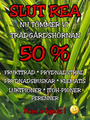 fynda_400